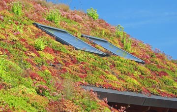 Marchington living roof systems
