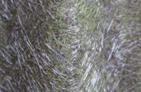 Marchington fibreglass roof work